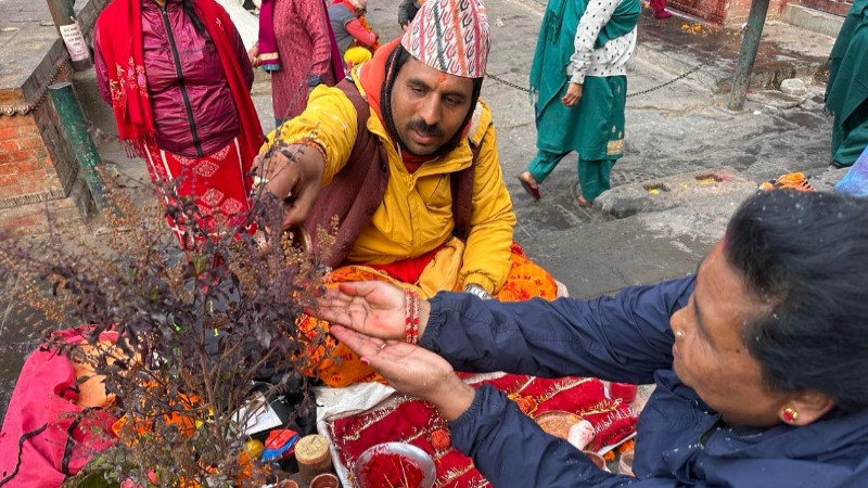 आज हरि बोधिनी एकादशीः तुलसी र दामोदरको विवाह गरिँदै  (तस्वीर)